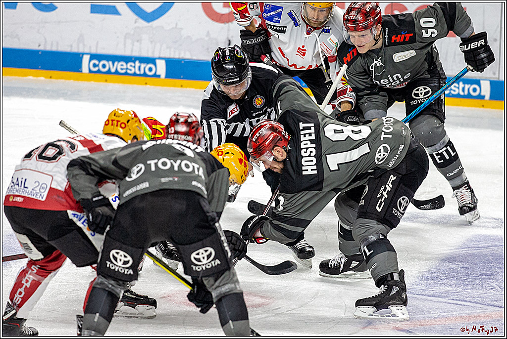 DEL; Koelner Haie - Fischtown Pinguins Bremerhaven, 06.01.2019